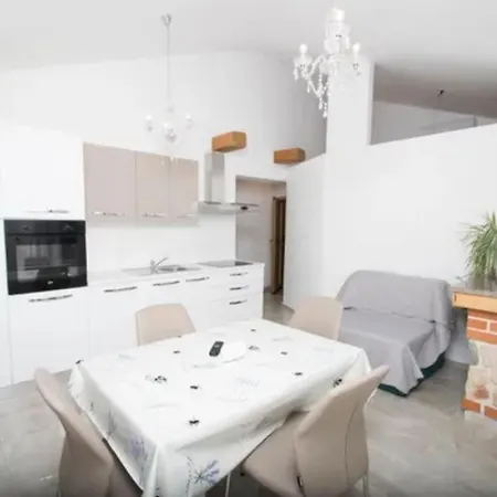 Delfin With Seaview 100 Meters From The Sea - By Ta Leut Agency * Privlaka (Zadar)