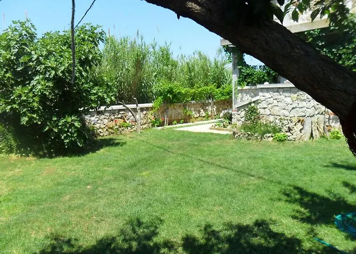 Delfin With Seaview 100 Meters From The Sea - By Ta Leut Agency * Privlaka (Zadar)