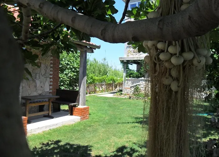 Delfin With Seaview 100 Meters From The Sea - By Ta Leut Agency Privlaka (Zadar)